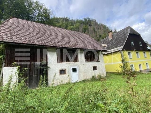 Haus kaufen in Landl, Steiermark