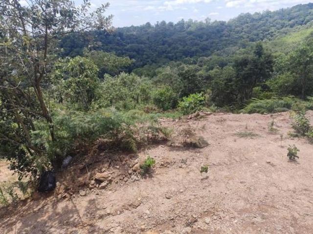 Sítio e chácara venda em Região Imediata de São Paulo, Região Metropolitana de São Paulo