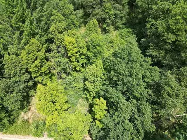 Terrain vente à Rodez, Entraygues-sur-truyère