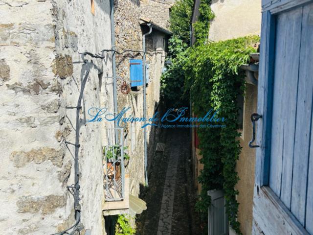 Maison vente à Le Vigan, Durfort-et-saint-martin-de-sossenac