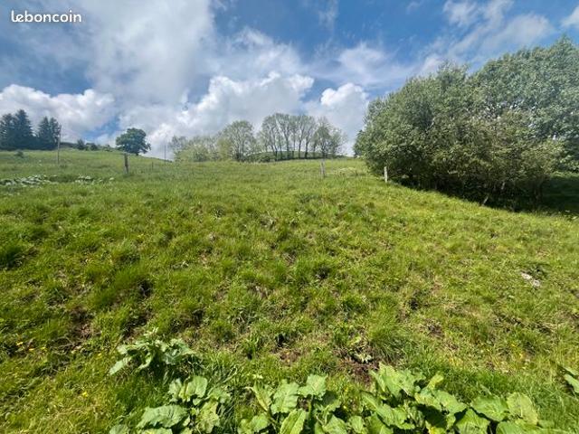 Maison vente à Issoire, Besse-et-saint-anastaise