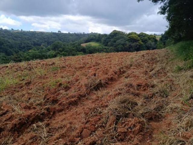 Sítio e chácara venda em Região Imediata de Sorocaba, Região Metropolitana de Sorocaba