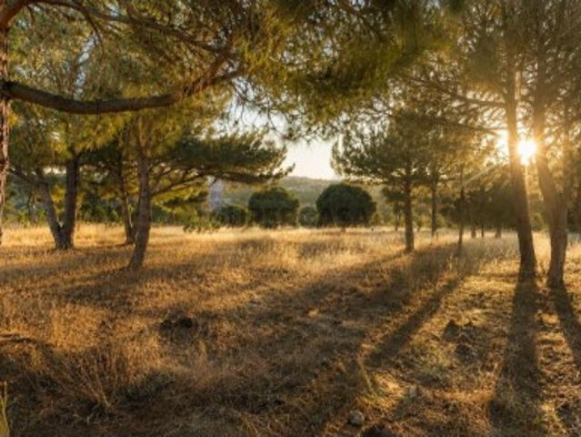 Terreno venda em Carvoeiro, Faro