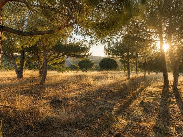 Terreno venda em Carvoeiro, Faro