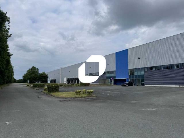 Local Commercial location à Zone commerciale du Luc, Dechy