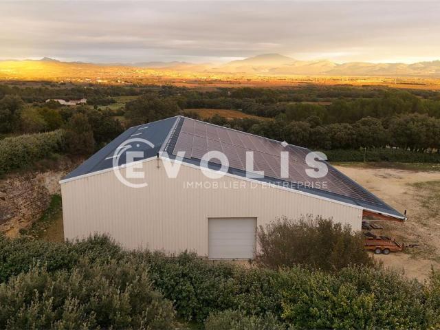 Local Commercial location à Carpentras, Lagarde-paréol