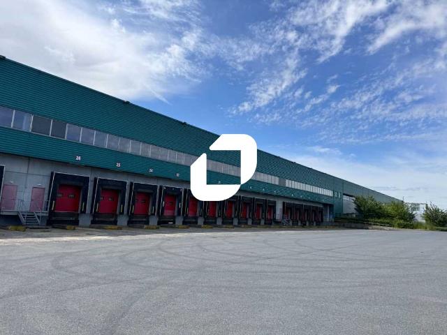Local Commercial location à Lauwin-Planque, Nord