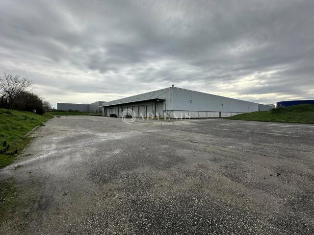 Local Commercial vente à Bordeaux