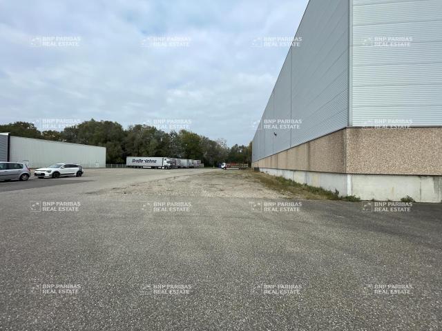 Local Commercial location à Haguenau-Wissembourg, Herrlisheim