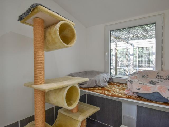 Maison vente à Champagne-Mouton, Charente