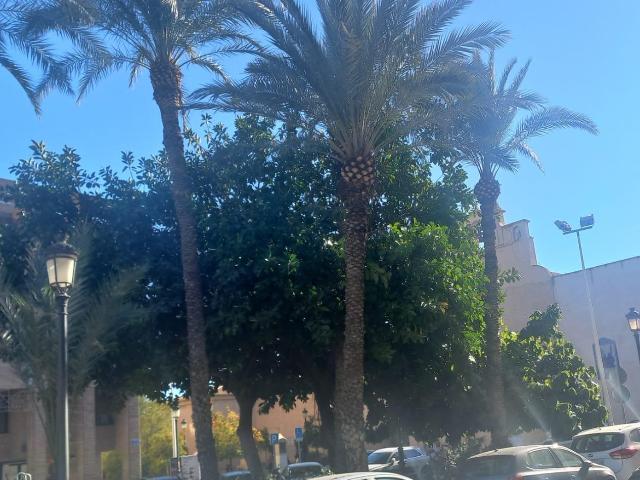 Piso en venta en Dones de les Palmes, el Baix Vinalopó
