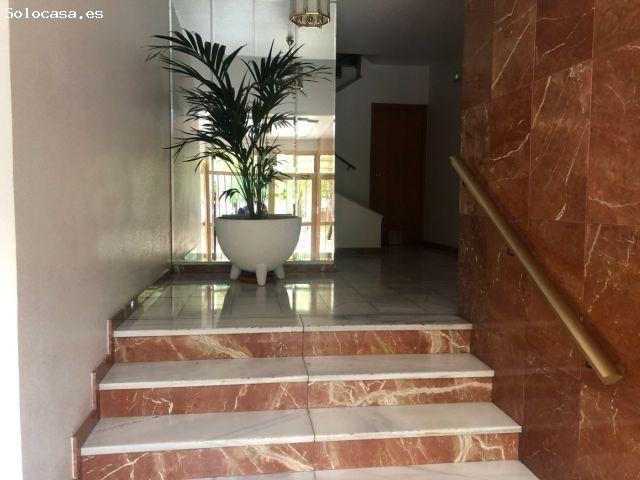Local Comercial en alquiler en Elche De La Sierra, Carrús Est
