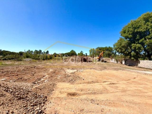 Terreno venda em Parque Empresarial do Entroncamento, Entroncamento