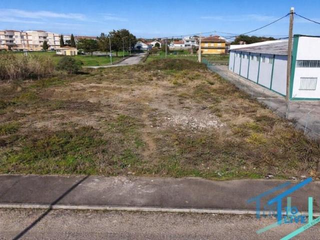 Terreno venda em Parque Empresarial do Entroncamento, Entroncamento