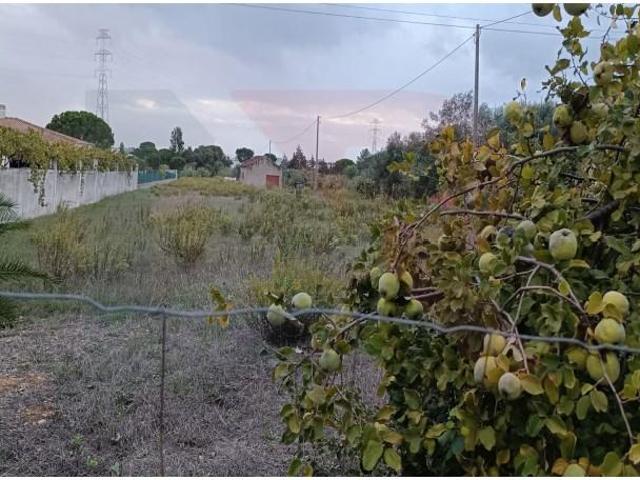 Terreno venda em Entroncamento, Nossa Senhora De Fátima