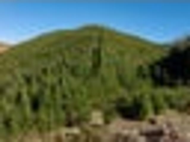 Land for sale in Tasman