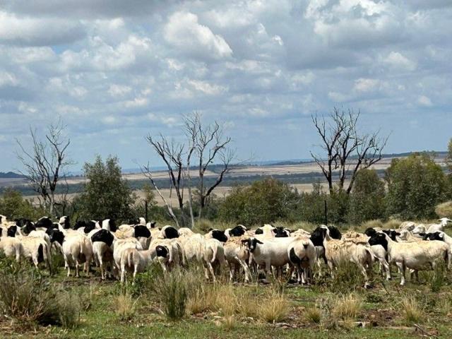 Property for sale in Harparary, New South Wales