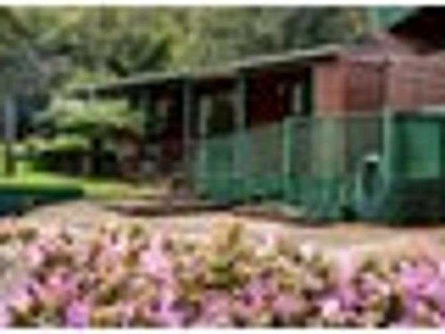 House for sale in Waitākere Ranges, Oratia