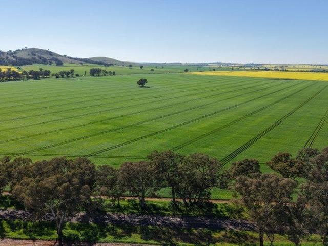 Cottage for sale in Grenfell, New South Wales