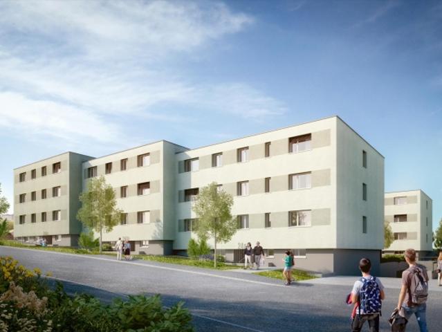 Wohnung mieten in Solothurn