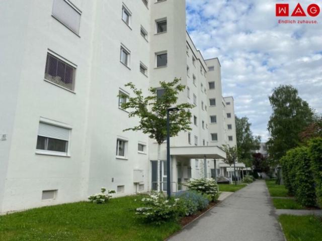 Wohnung mieten in Bindermichl-Keferfeld, Linz