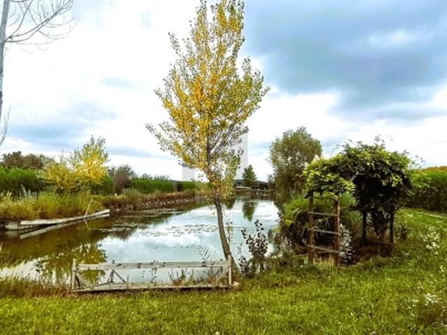 Grundstück kaufen in Oslip/Uzlop, Oslip