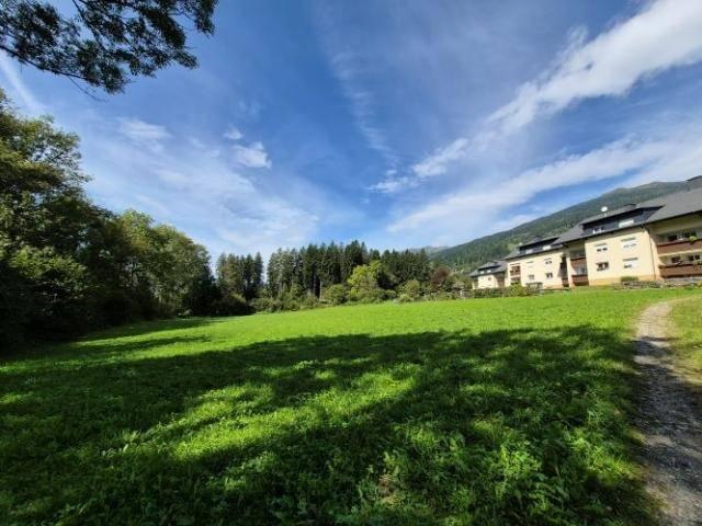 Immobilie kaufen in Berg im Drautal, Kärnten