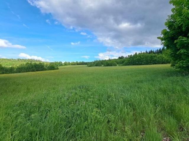 Erdgeschosswohnung kaufen in Lichtenberg, Berlin