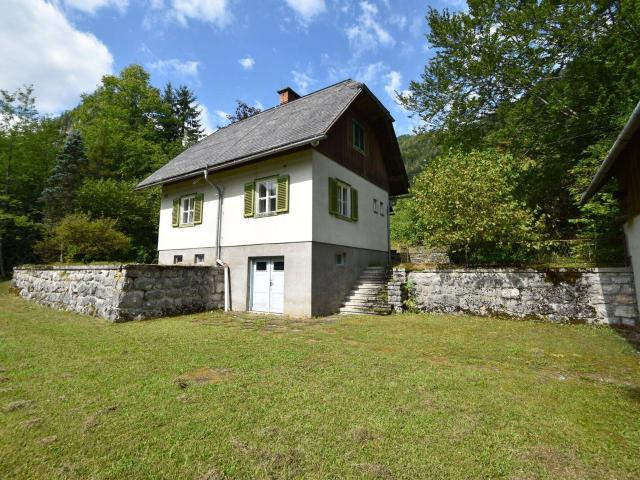 Haus kaufen in Wildalpen, Bezirk Liezen