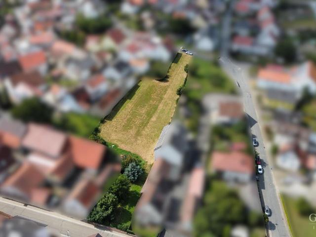 Landwirtschaft kaufen in Großrinderfeld, Baden-Württemberg