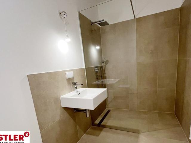 Etagenwohnung mieten in Mödling