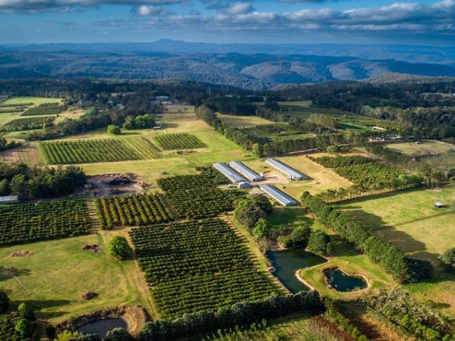 Cottage for sale in Kulnura, New South Wales