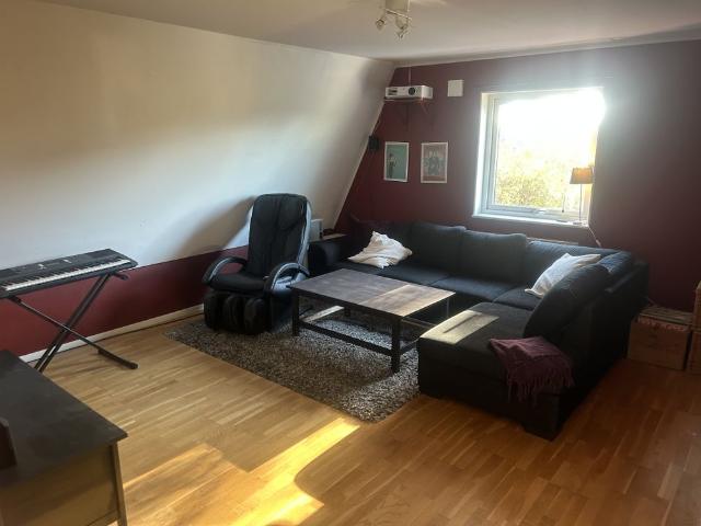 Hus hyra i Gamla Uppsala, Uppsala