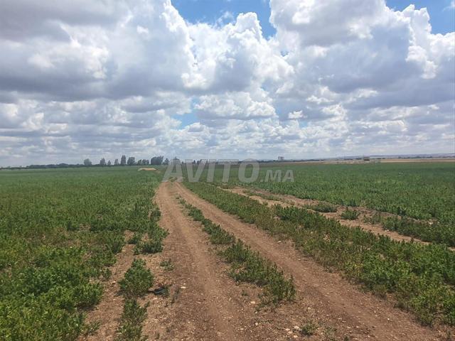 Propriété vente à Berrechid, Gharb-Chrarda-Beni Hssen