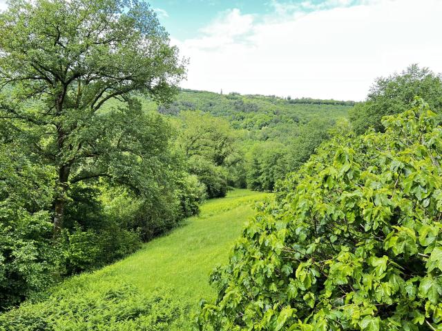 Maison vente à Le Fort, Cardaillac