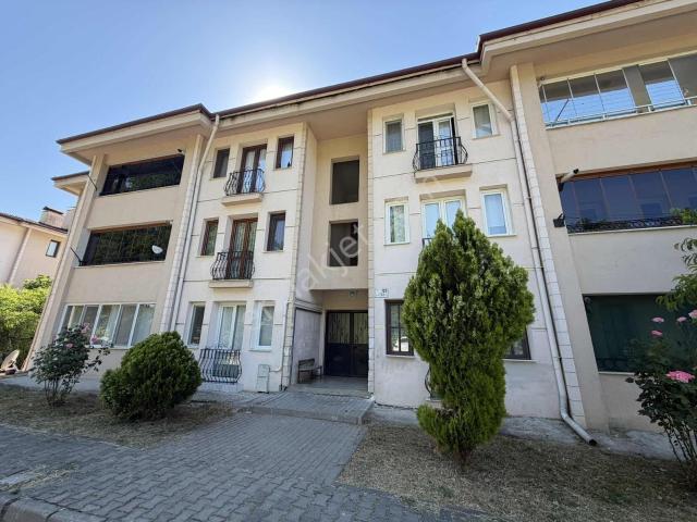 Düzce Merkez, Düzce içerisinde satılık mülk