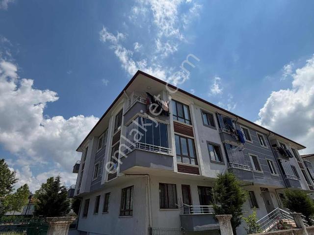 Düzce Merkez, Düzce içerisinde kiralık mülk