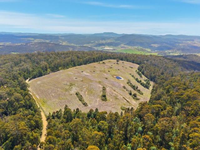 Land for sale in Black Hills, Tasmania