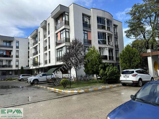 Düzce Merkez, Düzce içerisinde kiralık mülk