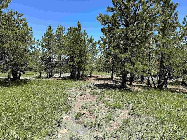 Land for sale in Sturgis, South Dakota