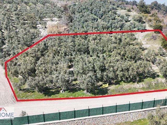 Mudanya, Bursa içerisinde satılık mülk