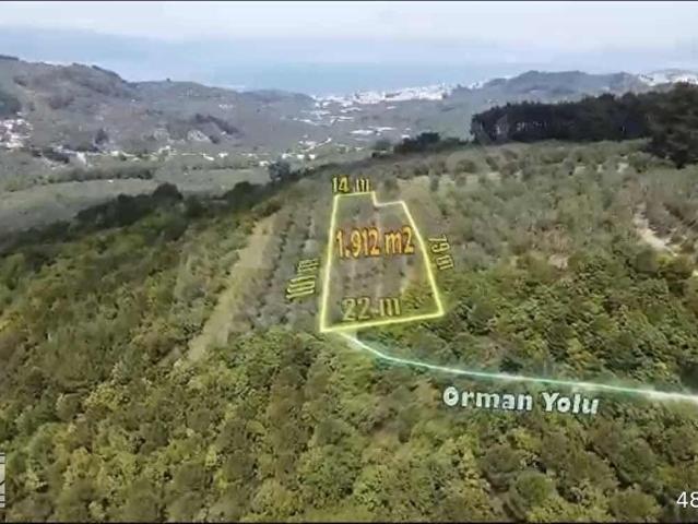 Çepni, Mudanya içerisinde satılık Arsa