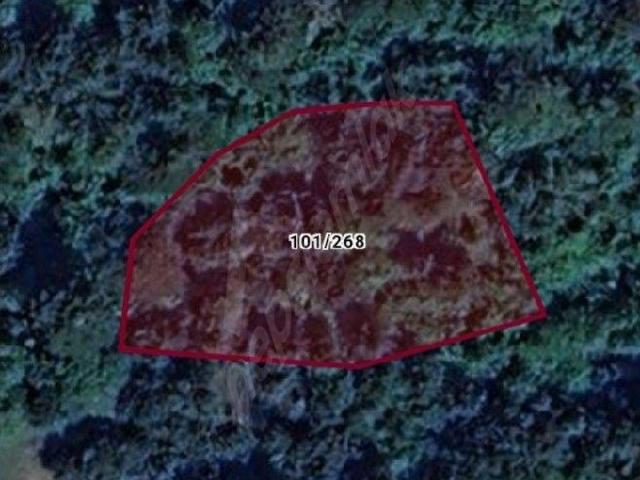 Bolu Merkez, Bolu içerisinde satılık Arsa