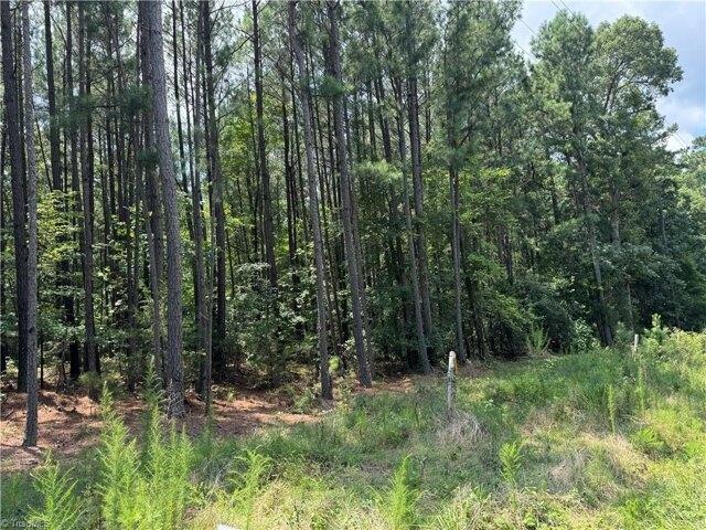Land for sale in Siler City