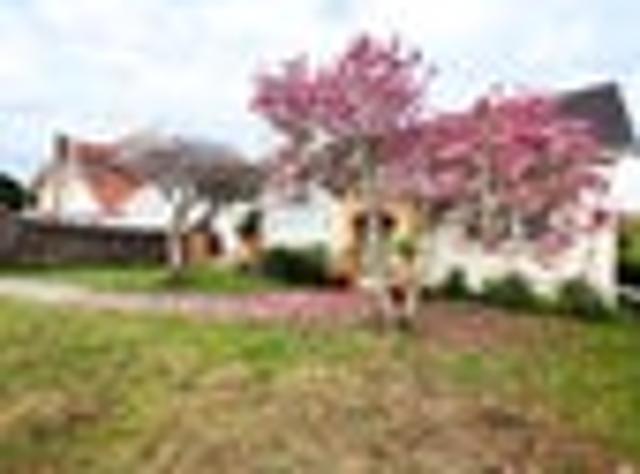 House for rent in Balmoral