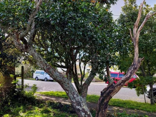 House for rent in Balmoral