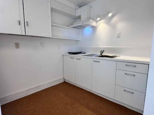 Apartment for rent in Epsom, Albert-Eden