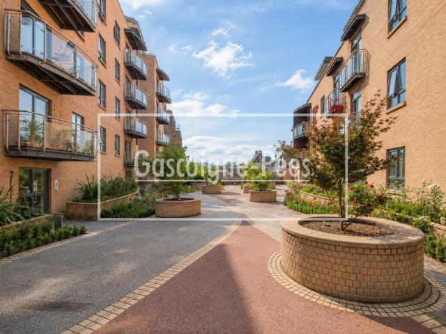 Apartment for rent in Charlotteville, Guildford