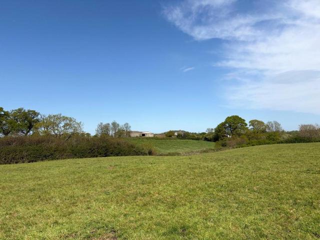 Land for sale in East Dorset