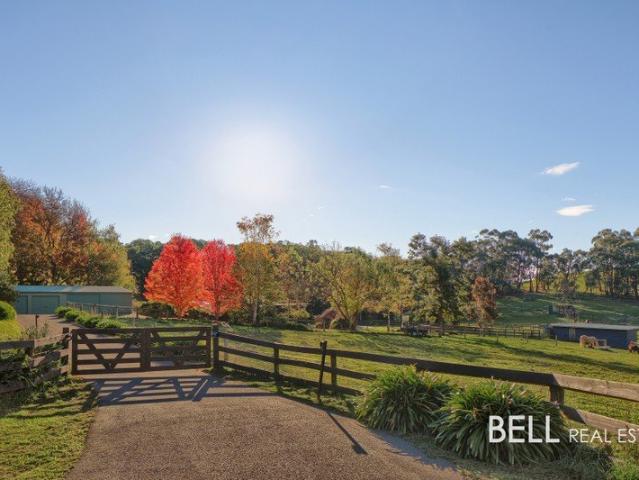 House for sale in Camerons Creek, Victoria